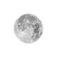 Forecast -the real weather-